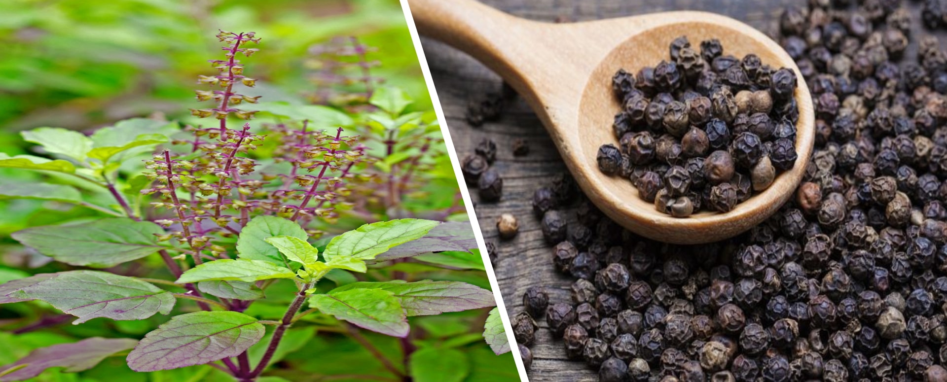 தோலின் அரிப்பு மற்றும் தடிப்பு குணமாக ஒரு சிறந்த மருத்துவம்