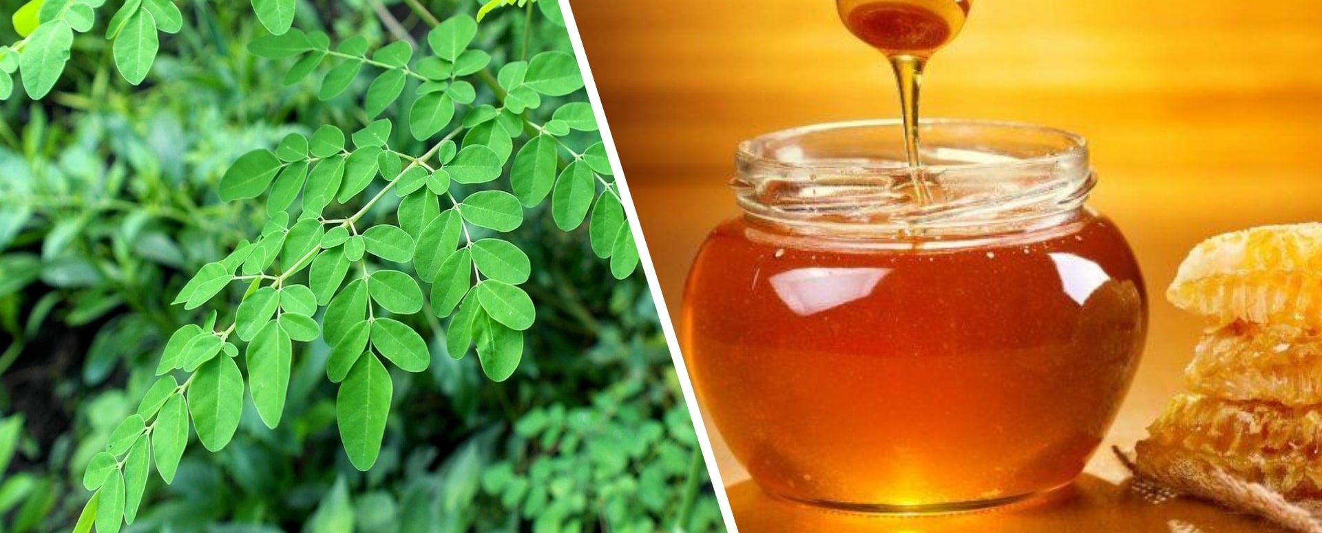 இரத்தத்தில் ஹீமோகுளோபின் அதிகரிக்க செய்யும் எளியவகை மூலிகை சாறு