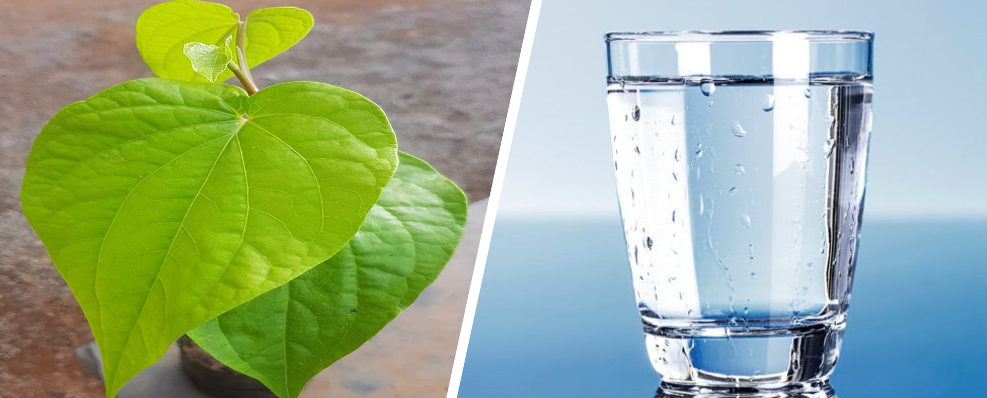 சளியை குணப்படுத்த இரண்டு பொருட்கள் மட்டும் போதும்