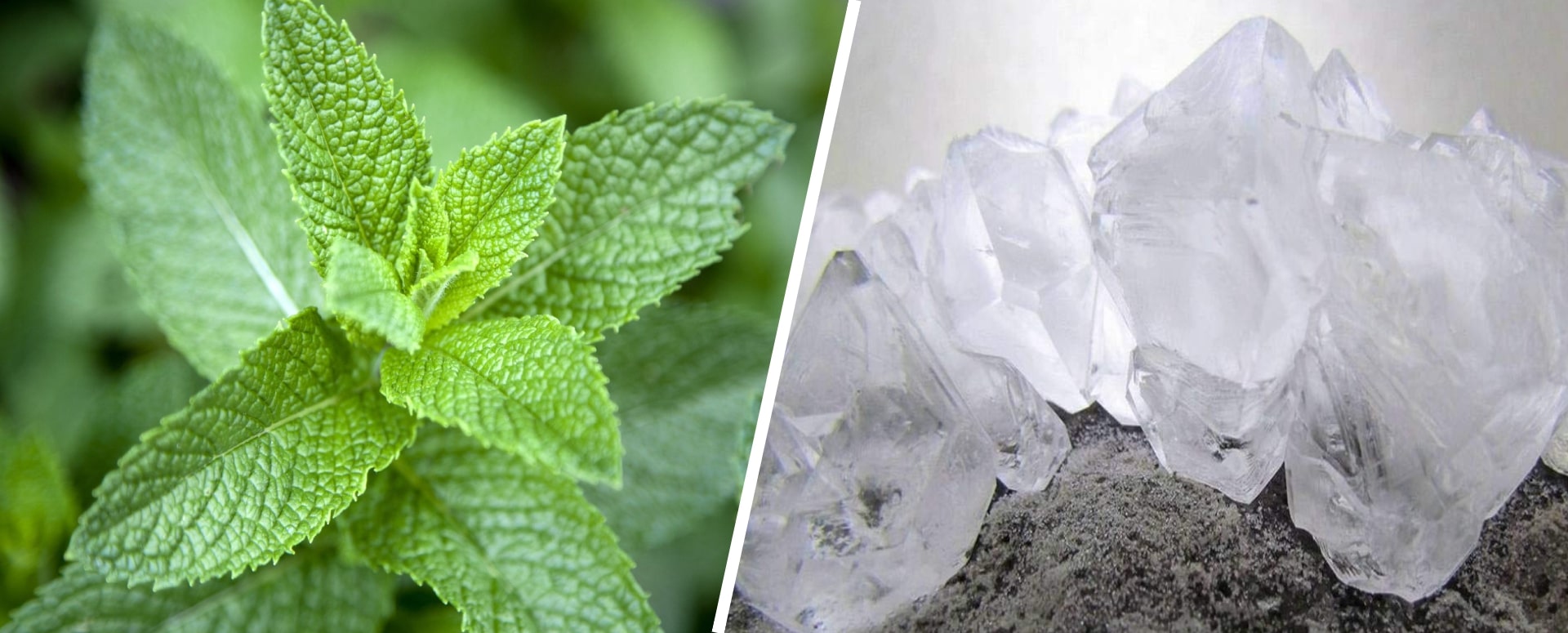 முகத்தில் தோன்றும் மங்குவை போக்கும் வீட்டு வைத்தியம்