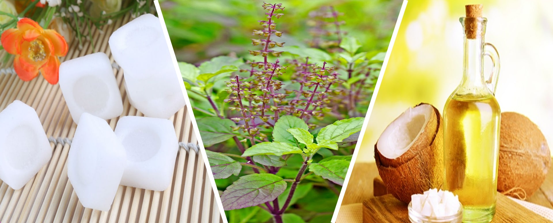 மூக்கடைப்பு நீங்க உதவும் இயற்கை மருத்துவம்