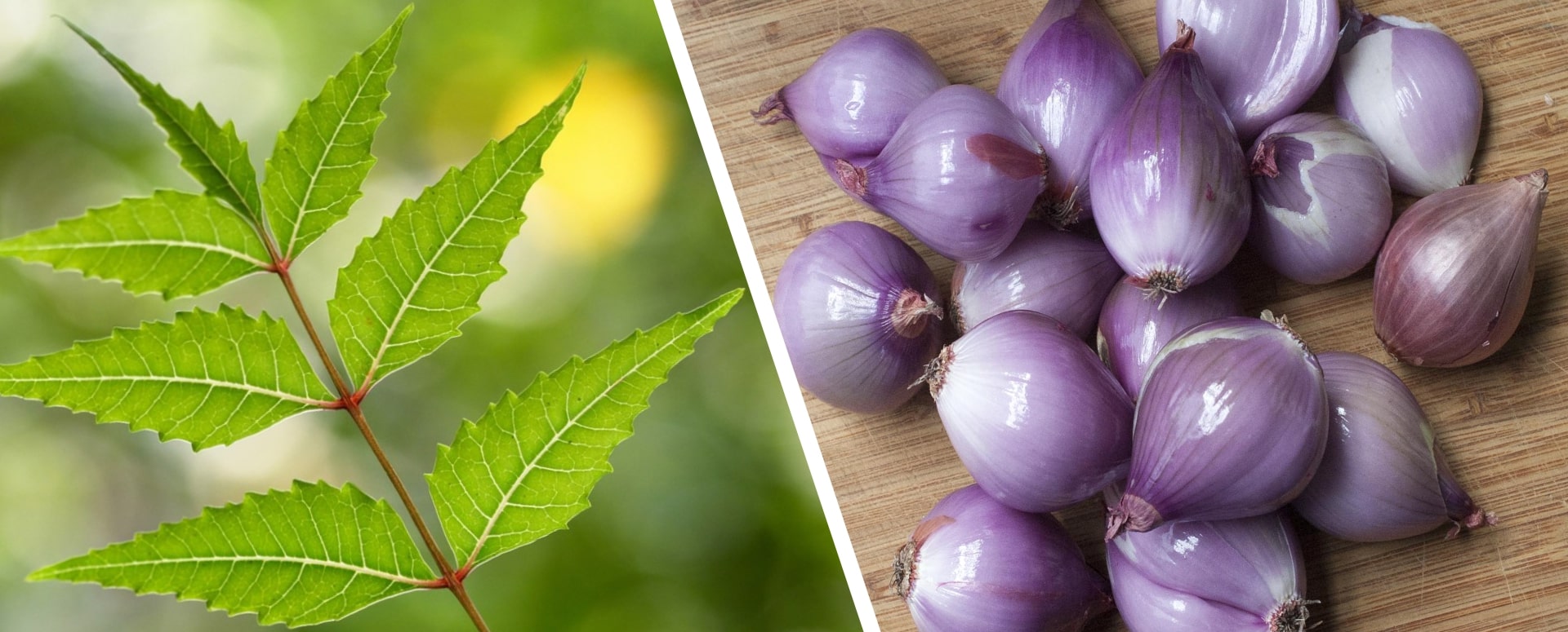 உடலில் ஏற்ப்படும் அரிப்பு நொடியில் நீங்க எளிய பாட்டி வைத்தியம்