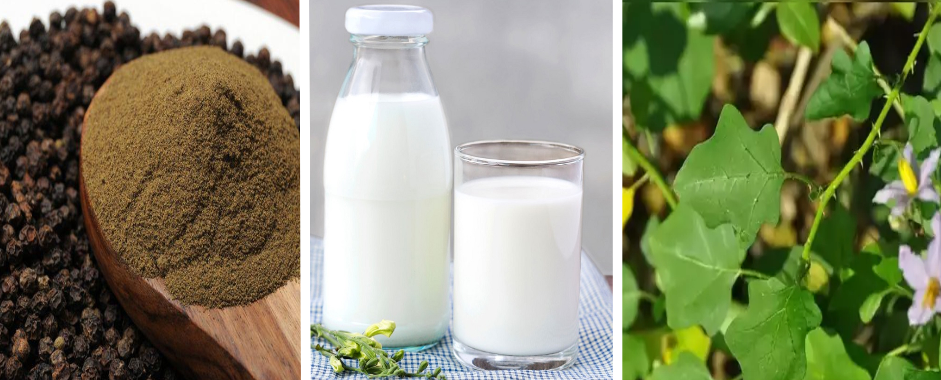 அடிக்கடி ஏற்படும் தும்மல் நிற்பதற்கு ஒரு எளிதான மருத்துவம்