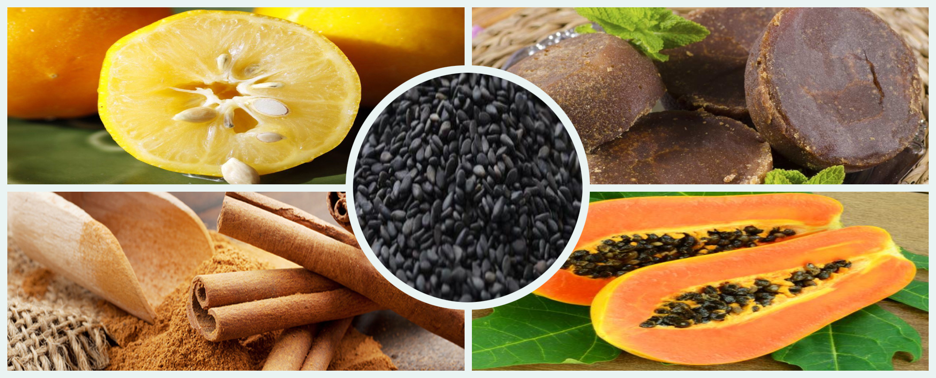 பெண்களுக்கு ஏற்படும் ஒழுங்கற்ற மாதவிலக்கை தடுக்கும் மூலிகைகள் பெண்களுக்கு ஏற்படும் ஒழுங்கற்ற மாதவிலக்கை தடுக்கும் மூலிகைகள்