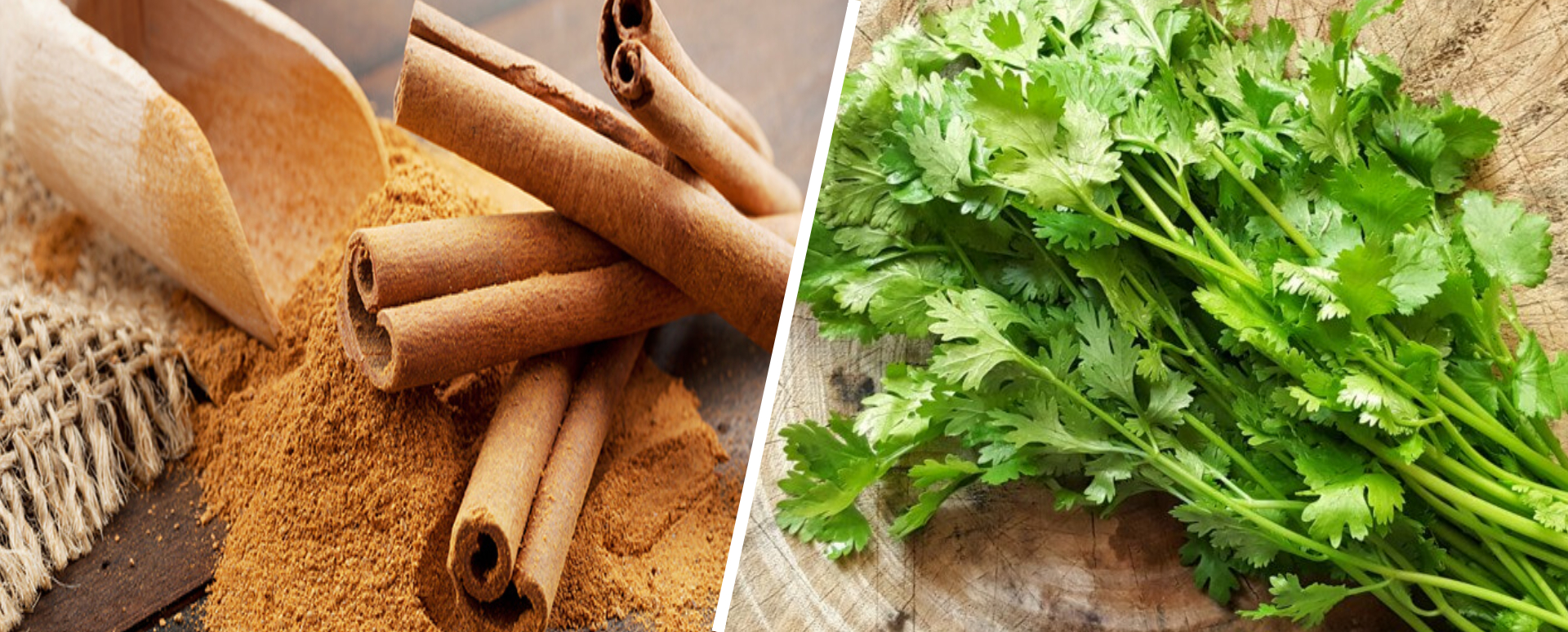 முகப்பரு மறைய உதவும் இலவங்கப்பட்டை மருத்துவம்