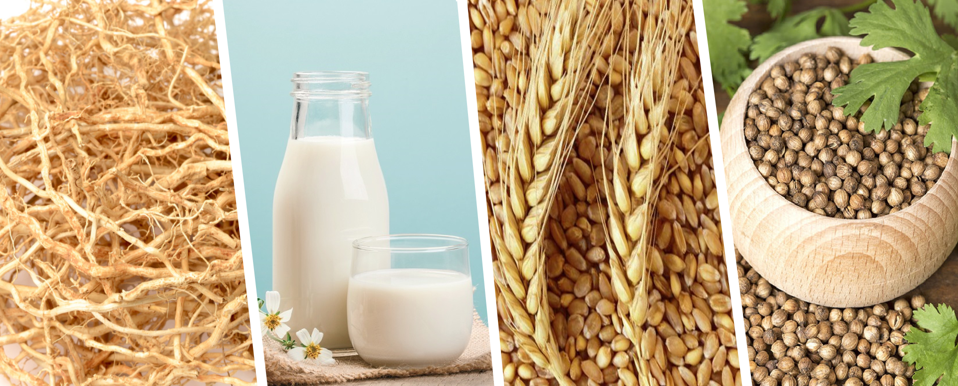 பெண்களுக்கு இடுப்பு வலியை நீக்கும் அற்புத மருத்துவம்