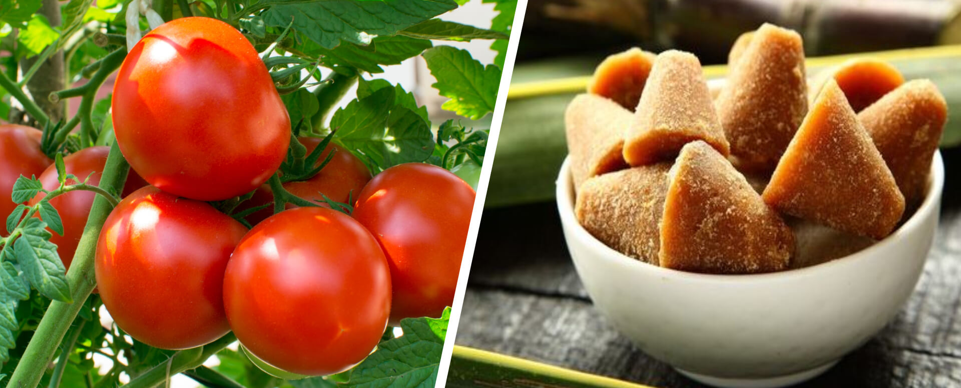 தக்காளி பழச்சாற்றை குடித்தால் உடல் எடையைக் குறைக்கலாம்