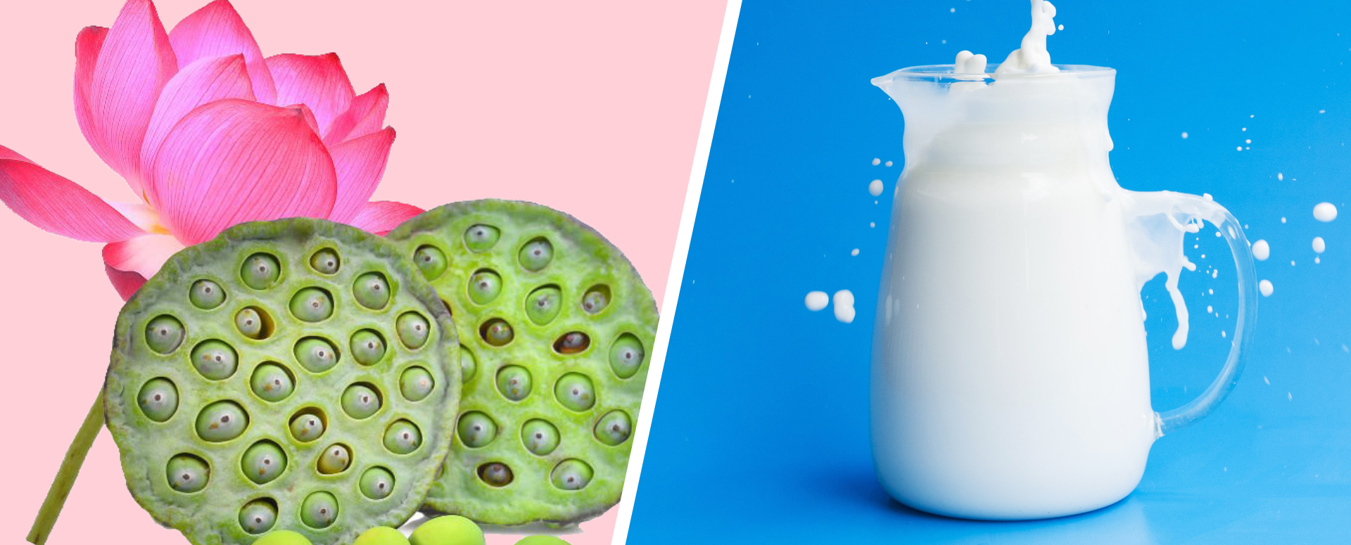 ஆண்களின் விந்து உற்பத்தி அதிகரிக்க வீட்டு வைத்தியம்