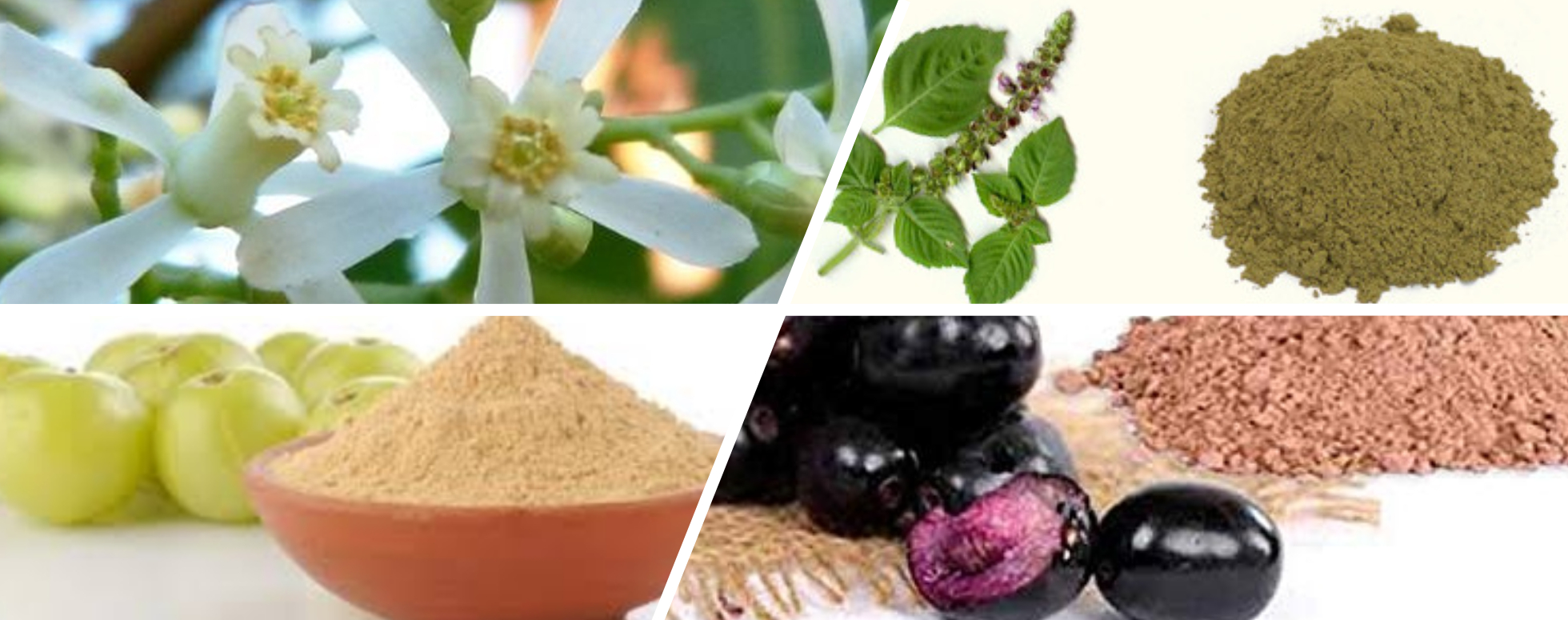 நீரழிவு நோய் குணமாக ஒரு எளிதான இயற்கை மருத்துவம்