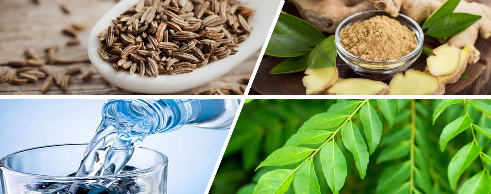 வயிற்றில் செரிமானம் சக்தியை நன்கு அதிகரிக்க