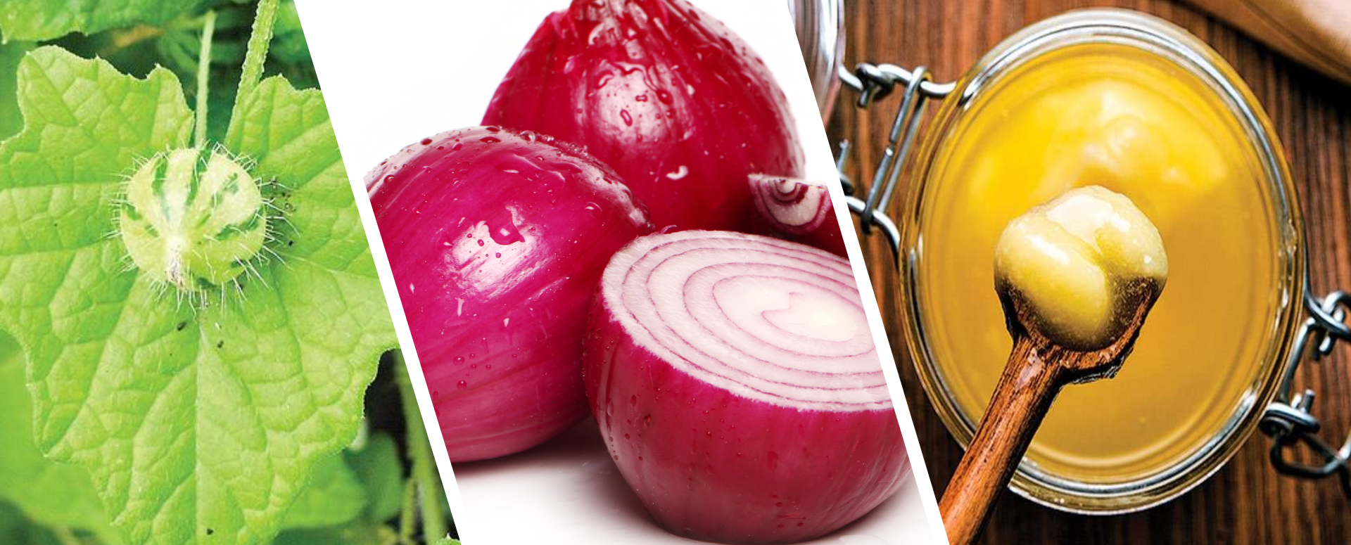 ஆஸ்துமா மற்றும் மூச்சுத்திணறல் குணமாக எளிதான வீட்டு வைத்தியம்