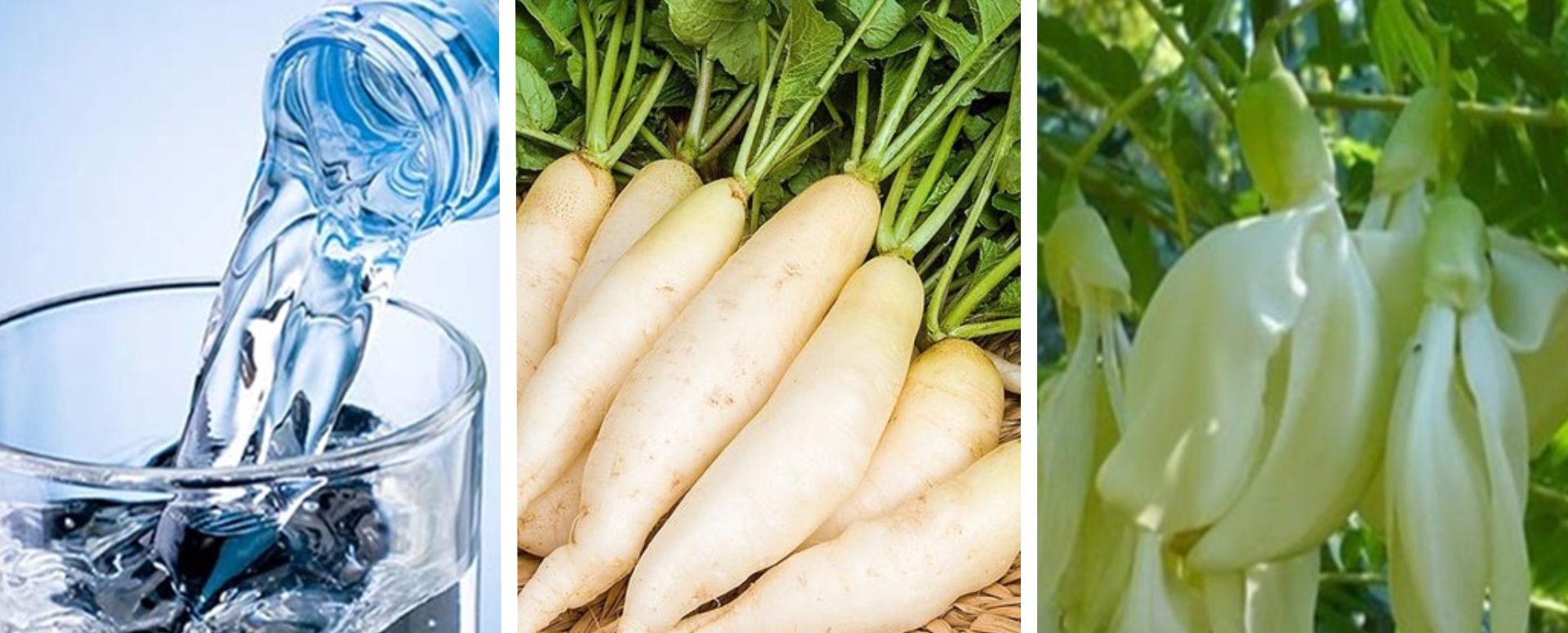 நுரையீரல் புத்துணர்ச்சி பெற ஓர் ஆரோக்கிய பானம் தயாரிக்கும் முறை