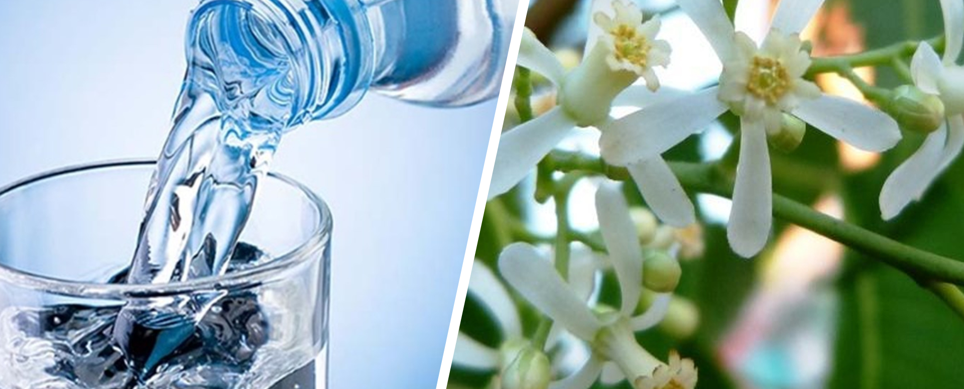 ஆறாத வயிற்றுப்புண் நீங்க எளிதான இயற்கை வைத்தியம்