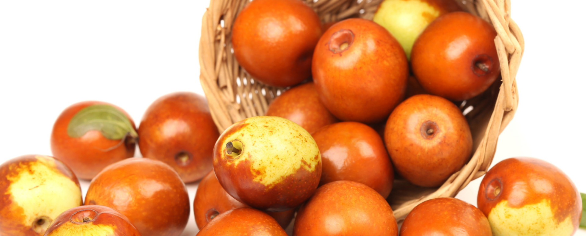 இலந்தைப்பழம் மருத்துவ பயன்கள் இலந்தைப்பழம் மருத்துவ பயன்கள்