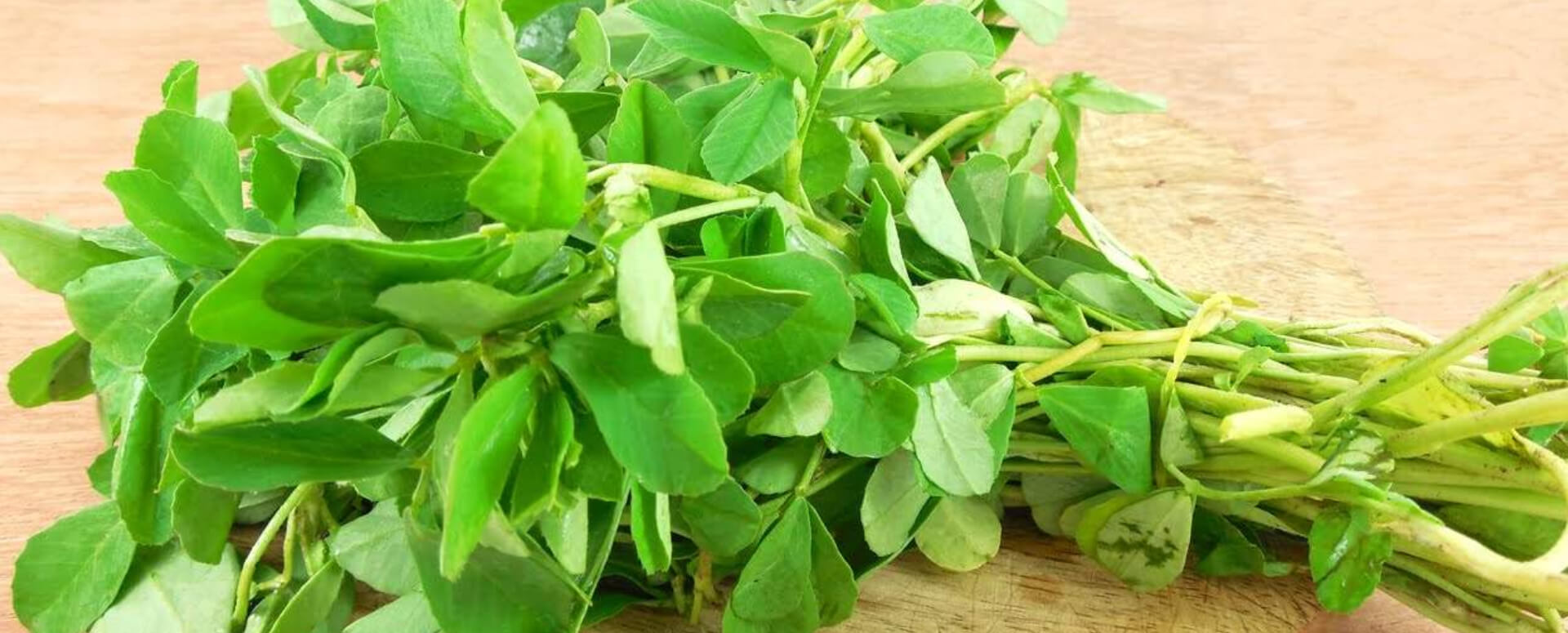 வெந்தய மூலிகையின் மருத்துவப் பயன்கள் வெந்தய மூலிகையின் மருத்துவப் பயன்கள்