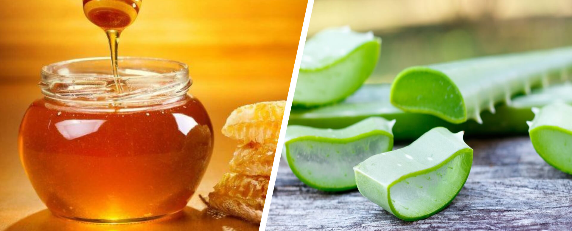 வறட்டு இருமல் குணமாக உதவும் கற்றாழையின் மருத்துவ குறிப்பு