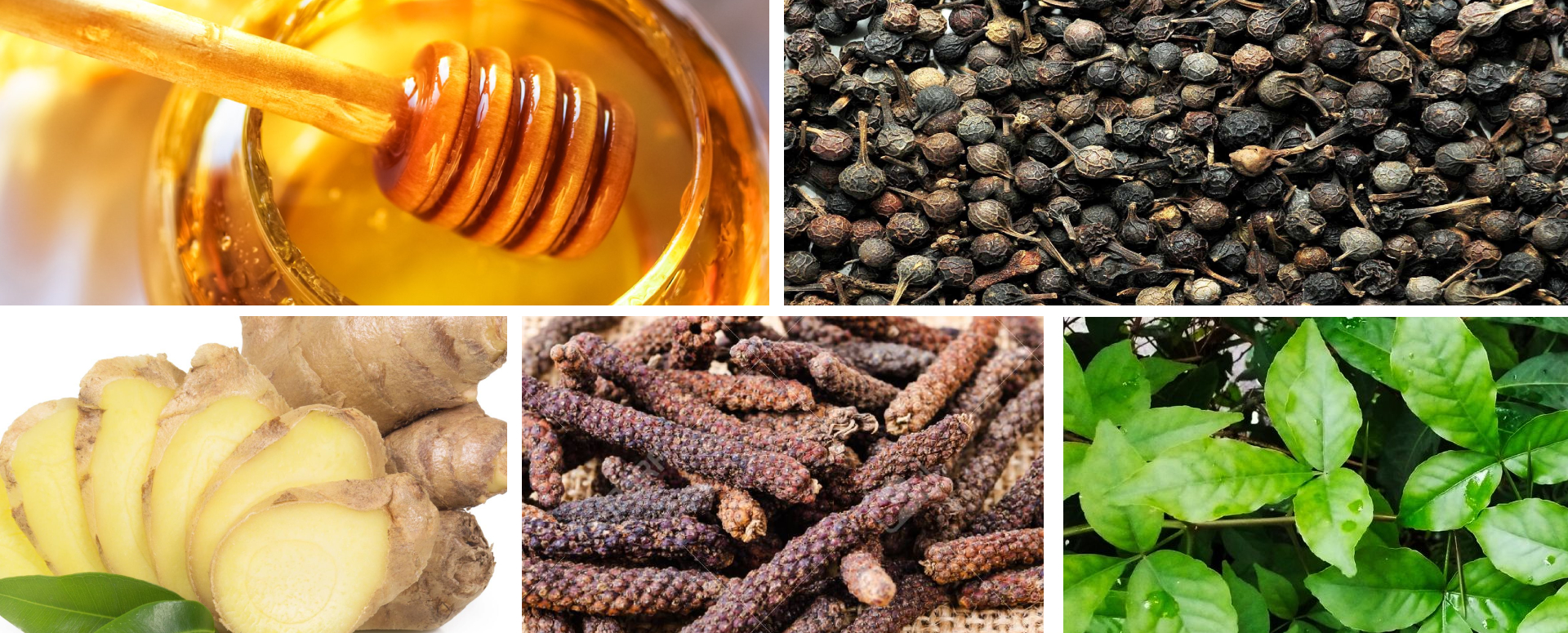 எவ்வித காய்ச்சலும் பூரண குணமடைய