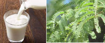 உடல் அரிப்பு குணம் பெற உடனடி சிகிச்சை