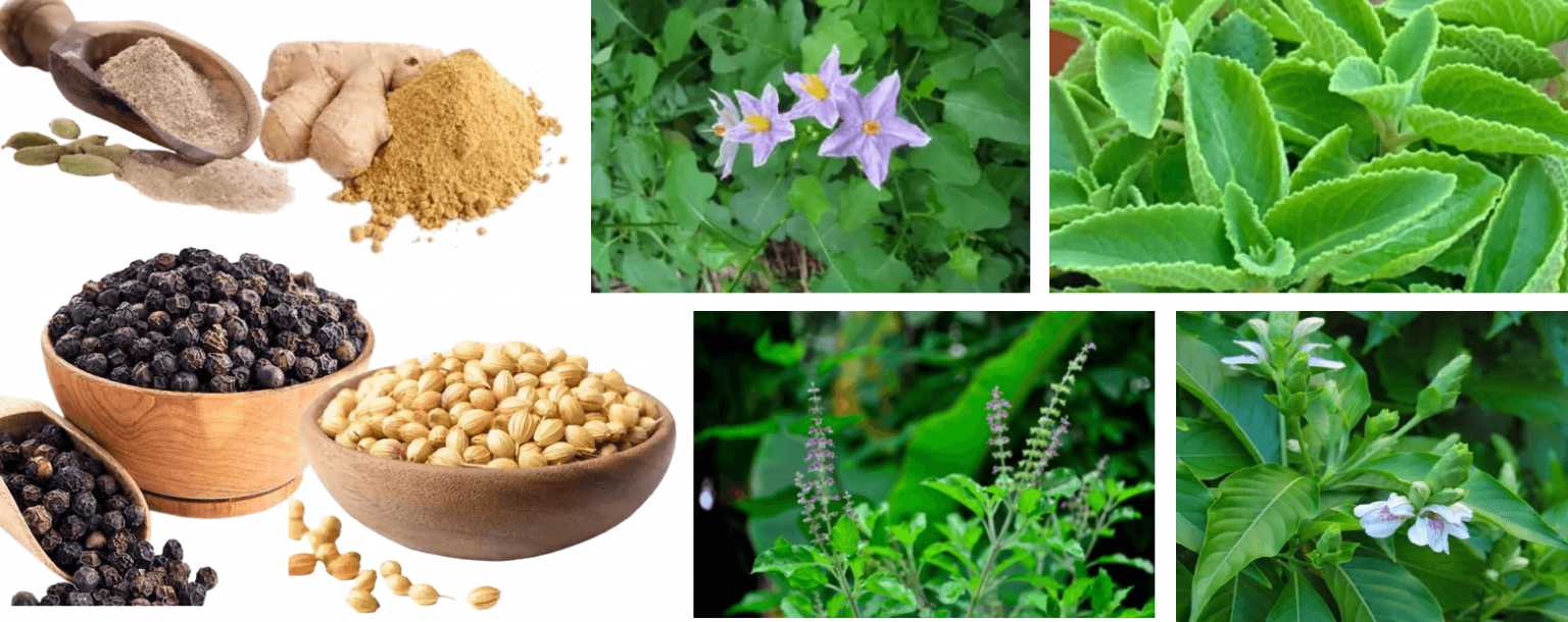 நெஞ்சு சளியை வெளியேற்றும் கஷாயம்