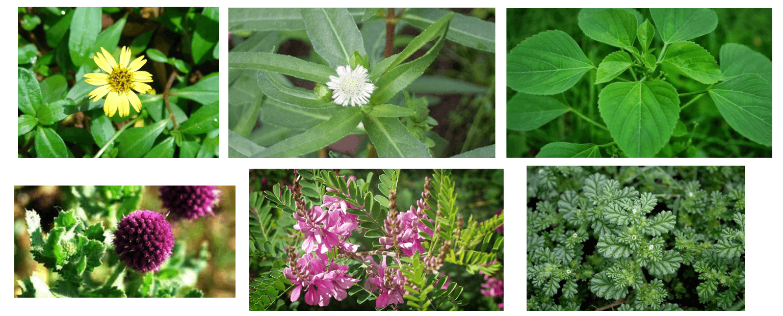 கர்ப்பப்பை பிரச்சினைகள் நீங்க